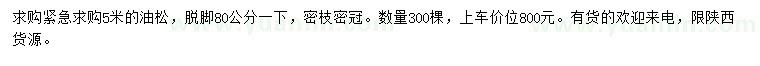 求購(gòu)5米油松