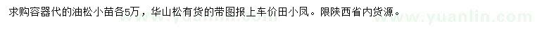 求購油松