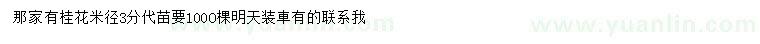 求購米徑3公分桂花