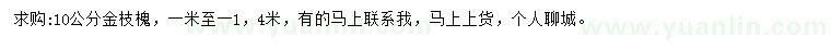 求購10公分金枝槐