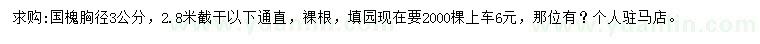求購胸徑3公分國槐