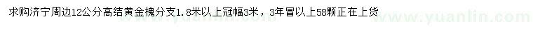 求購12公分黃金槐
