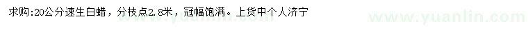 求購(gòu)20公分速生白蠟
