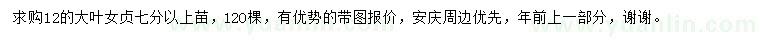 求購(gòu)12公分大葉女貞