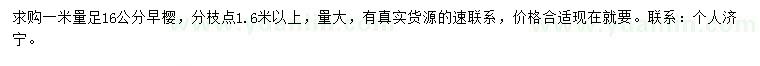 求購1米量16公分早櫻