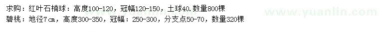 求購高100-120公分紅葉石楠球、地徑7公分碧桃