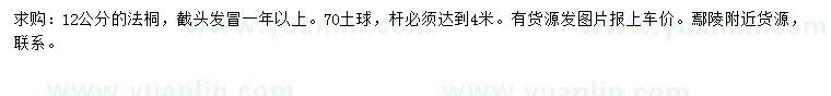 求購12公分法桐