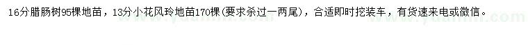 求購16公分臘腸樹(shù)樹(shù)、13公分小花風(fēng)鈴