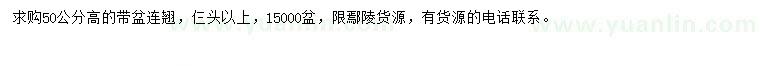 求購(gòu)高50公分連翹