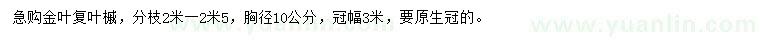 求購胸徑10公分金葉復(fù)葉槭