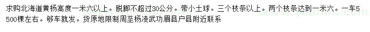 求購(gòu)高1.6米以上北海道黃楊