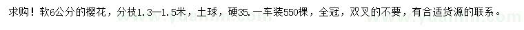 求購6公分櫻花
