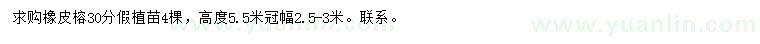 求購30公分橡皮榕