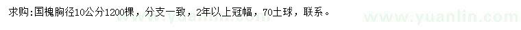 求購胸徑10公分國槐