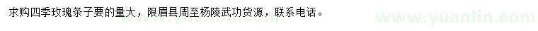 求購四季玫瑰