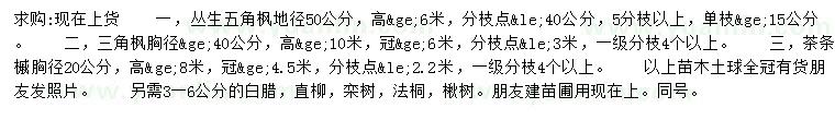 求購叢生五角楓、三角楓、茶條槭等