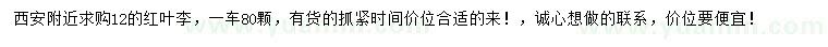 求購12公分紅葉李