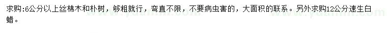 求購6公分以上絲棉木和樸樹