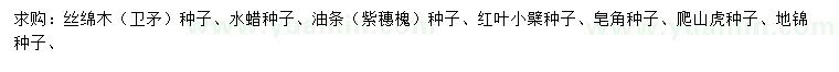求購絲綿木種子、水蠟種子、紫穗槐種子等