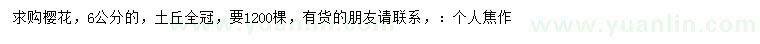求購6公分櫻花