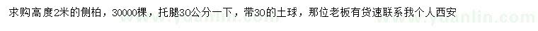 求購高度2米側(cè)柏