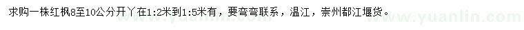 求購(gòu)8-10公分紅楓