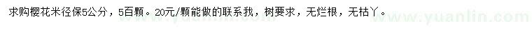 求購米徑5公分櫻花