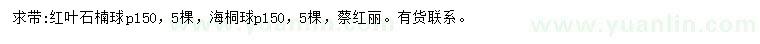 求購冠幅150公分紅葉石楠球、海桐球