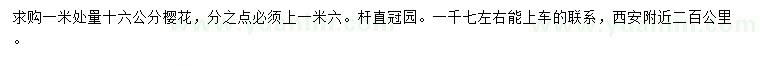 求購1米量16公分櫻花