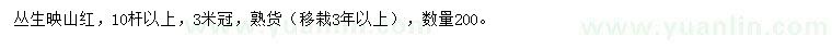 求購10桿以上叢生映山紅