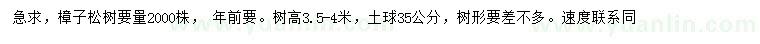 求購3.5-4米樟子松
