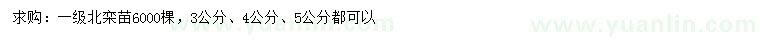 求購3、4、5公分北欒苗