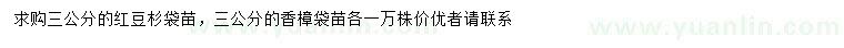 求購3公分紅豆杉、香樟