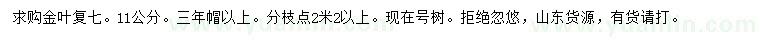 求購(gòu)11公分金葉復(fù)葉槭