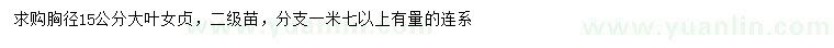 求購胸徑15公分大葉女貞