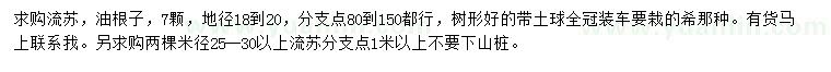 求購(gòu)地徑18到20公分流蘇