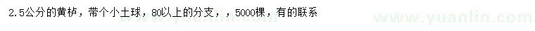 求購2.5公分黃櫨