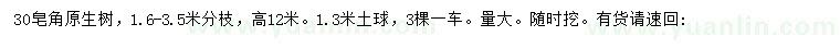 求購30公分皂角原生樹