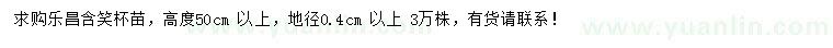 求購(gòu)高50公分以上樂(lè)昌含笑