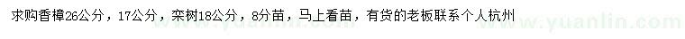 求購香樟、欒樹