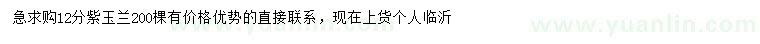 求購12公分紫玉蘭