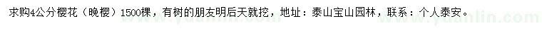 求購4公分櫻花