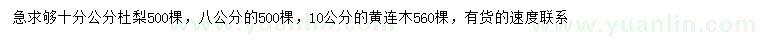 求購8、10分公分杜梨、10公分黃連木