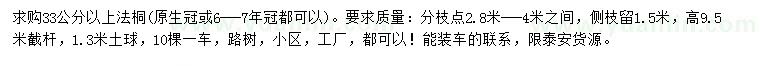 求購33公分以上法桐