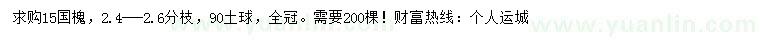 求購15公分國槐
