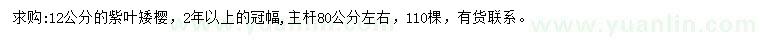 求購(gòu)12公分紫葉矮櫻