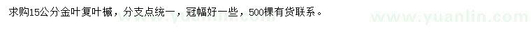 求購15公分金葉復葉槭
