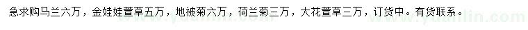 求購馬蘭、金娃娃萱草、地被菊等
