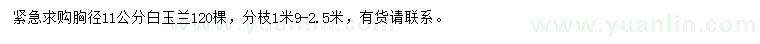 求購胸徑11公分白玉蘭