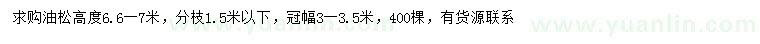 求購高6.6-7米油松